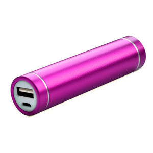 Charge on the Go - Battery Charger